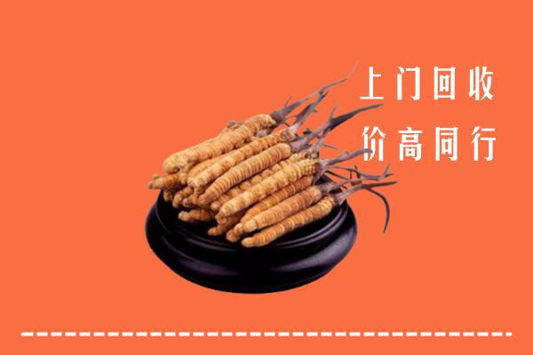 收购行情：礼泉县冬虫夏草回收多少钱每克